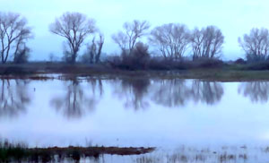 Upper Southampton Mission Statement